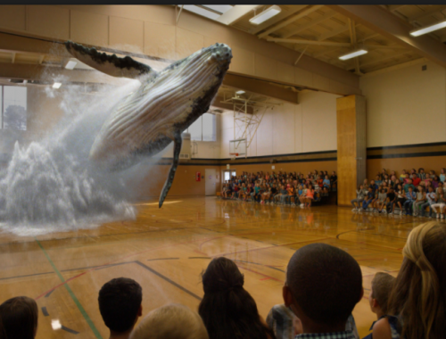 Magic Leap whale promotional video