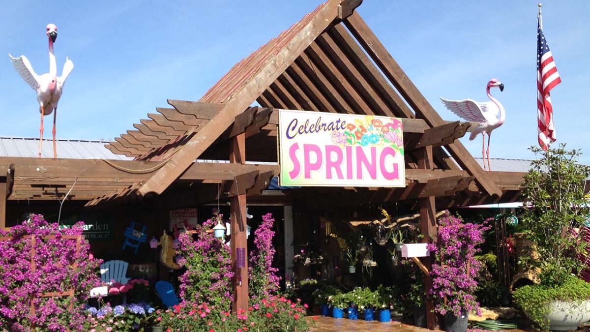 Flamingo Road Nursery Achieves No. 1 Ranking as Florida’s Top