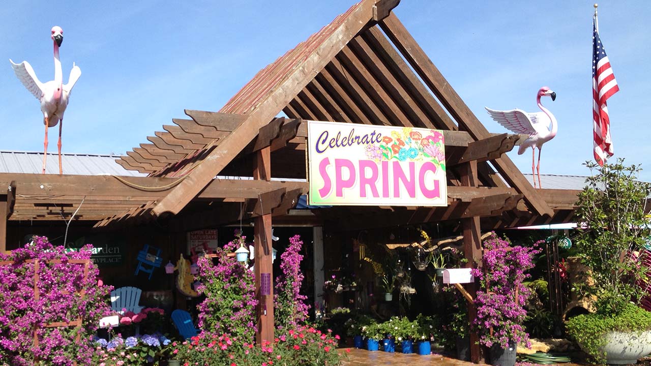 THE BEST 10 Nurseries & Gardening in PLANT CITY, FL - Yelp - Last Updated  March 2024