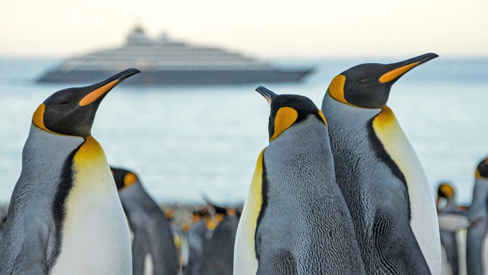 Luxury Cruise Itineraries